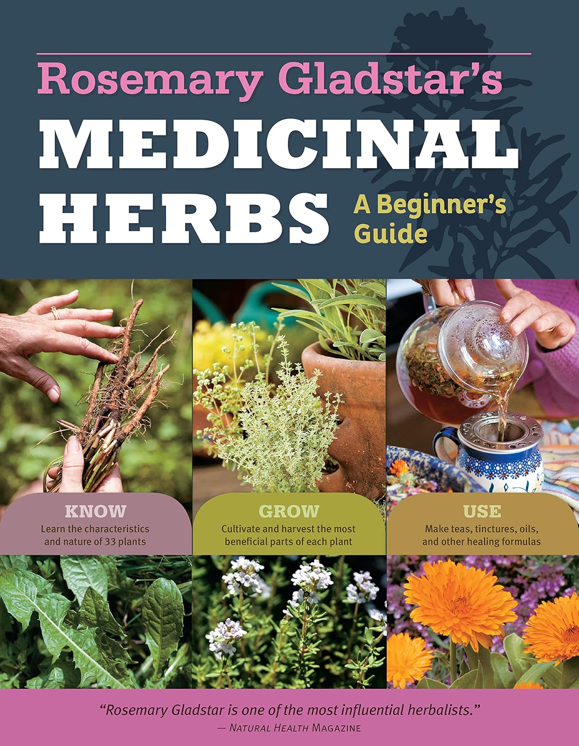 Rosemary Gladstar\'s Medicinal Herbs: A Beginner\'s Guide: 33 Healing Herbs to Know, Grow, and Use